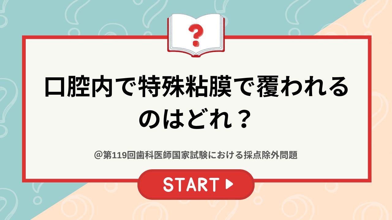 国試採点除外問題】口腔内で特殊粘膜で覆われるのはどれ？