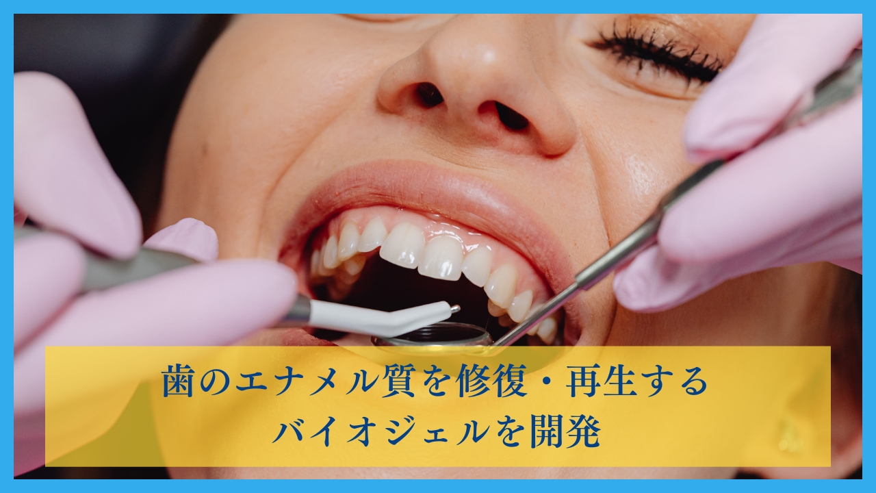 歯のエナメル質を修復・再生するバイオジェルを開発の画像です。