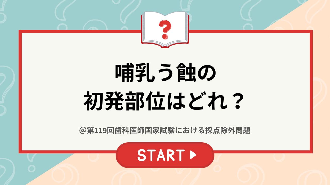 国試採点除外問題】哺乳う蝕の初発部位はどれ？
