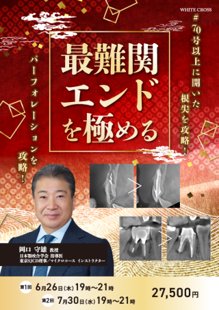 ▲01)【同梱不可】【希少本】図説エンダー法/弾性髄内固定の手技と実際/町田拓也/片田重彦/安藤謙一/南江堂/1999年発行/整形外科/A de4701905964b5ceb6aba2918efe11