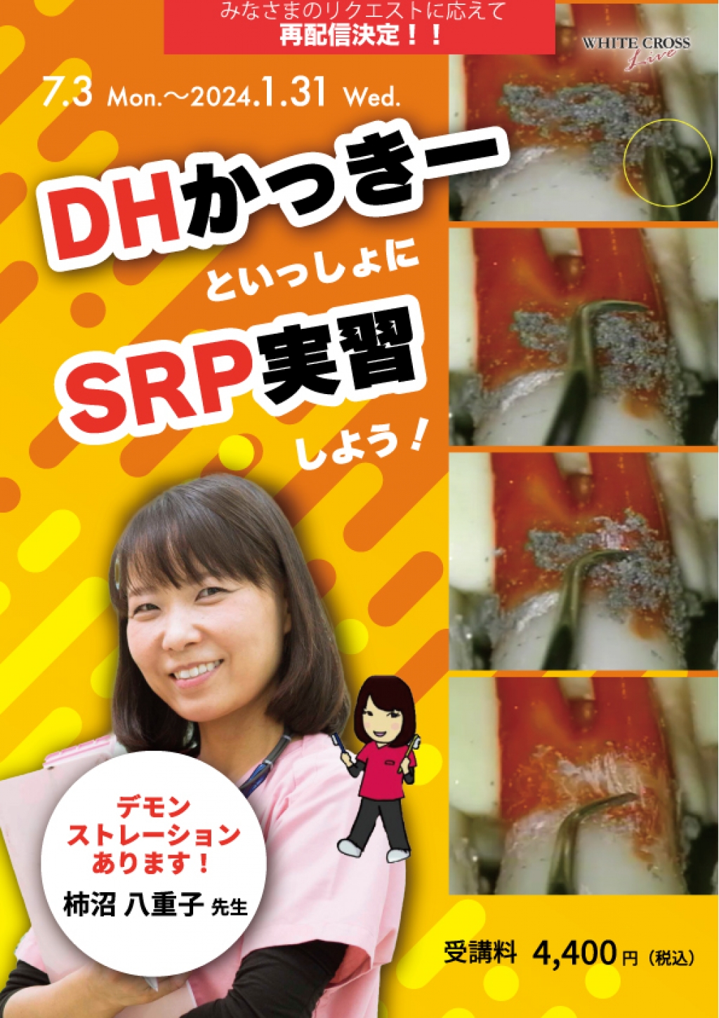 【期間限定割引中】自然形体療法セミナー受講テキスト VOD］DHかっきーといっしょにSRP実習しよう！【再配信】 | WHITE CROSS