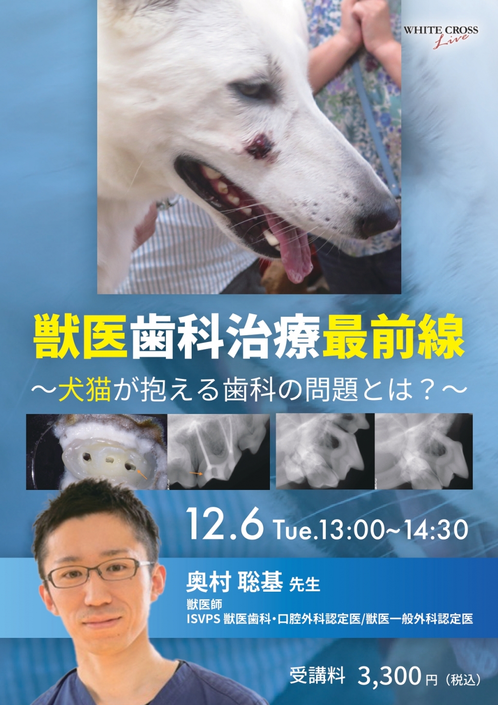 録画配信］獣医歯科治療最前線 | WHITE CROSS