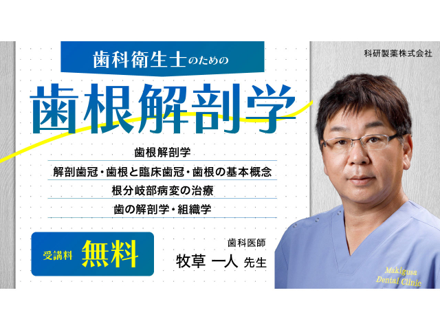 歯科衛生士のための歯根解剖学の画像です。