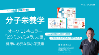 分子栄養学／オーソモレキュラー「ビタミンとミネラルの話」健康に必要な微小栄養素の画像です。