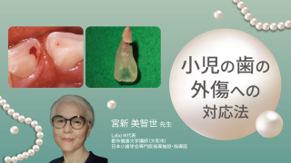 小児の歯の外傷への対応法の画像です。