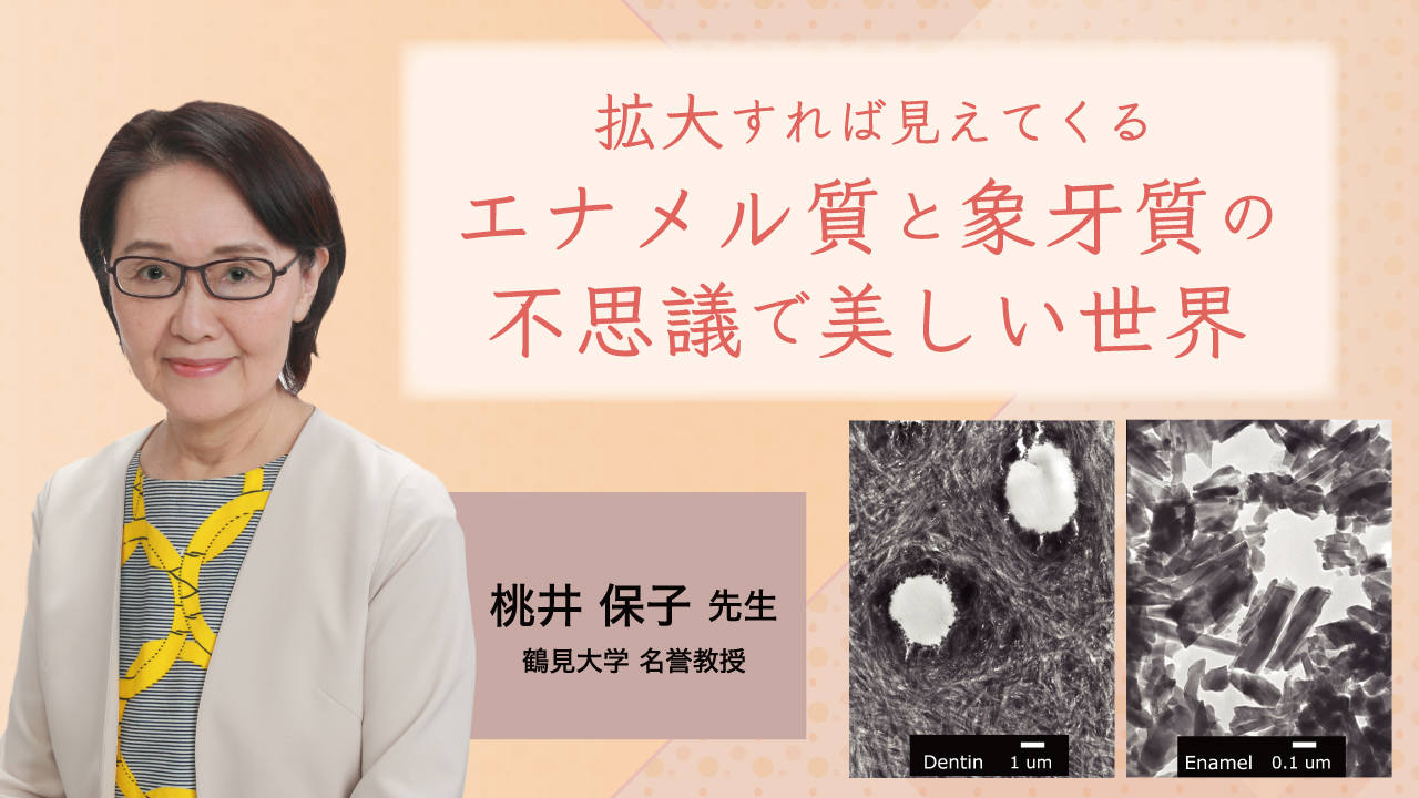 拡大すれば見えてくる エナメル質と象牙質の不思議で美しい世界