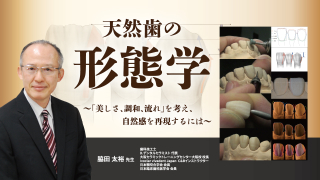 天然歯の形態学〜「美しさ、調和、流れ」を考え、自然感を再現するには〜の画像です。