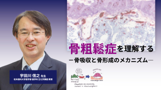 骨粗鬆症を理解する〜骨吸収と骨形成のメカニズム〜の画像です。