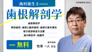 歯科衛生士のための歯根解剖学の画像です。