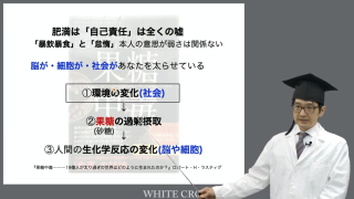 【第2回】の画像です。