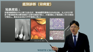 期間限定30%OFF！】Dr. Yoshi Terauchiの根管治療〜グローバル