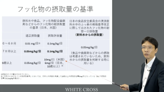 WHOやスウェーデンと違うから、日本は間違っている？の画像です。