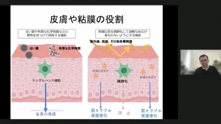 デンチャープラーク研究から見出したL8020乳酸菌と抗菌剤Etakの画像です。