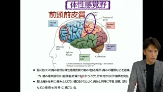 どうする？口腔顔面領域の慢性疼痛の画像です。