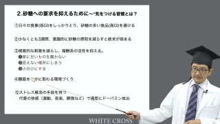 【第3回】の画像です。