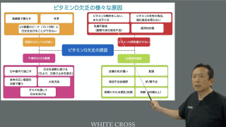 分子栄養学／オーソモレキュラー「ビタミンとミネラルの話」の画像です。