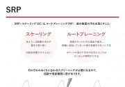 SRPの画像です。