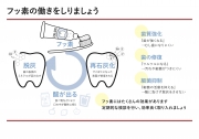 フッ素の働きをしりましょうの画像です。
